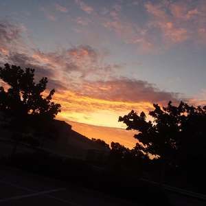 Meet your Posher, Joan